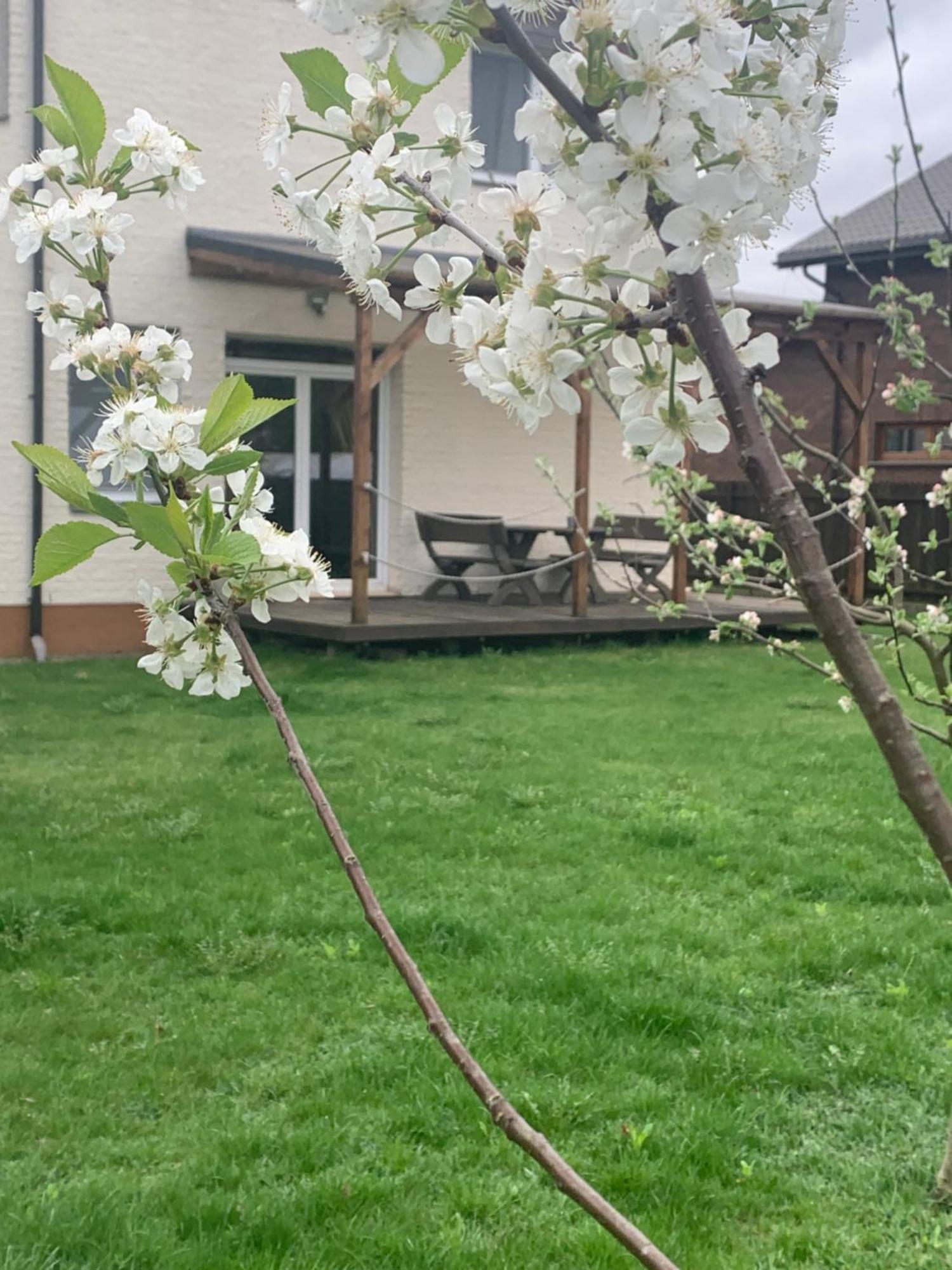 Ferienwohnung Pilaites Svetingi Namai Wilna Exterior foto